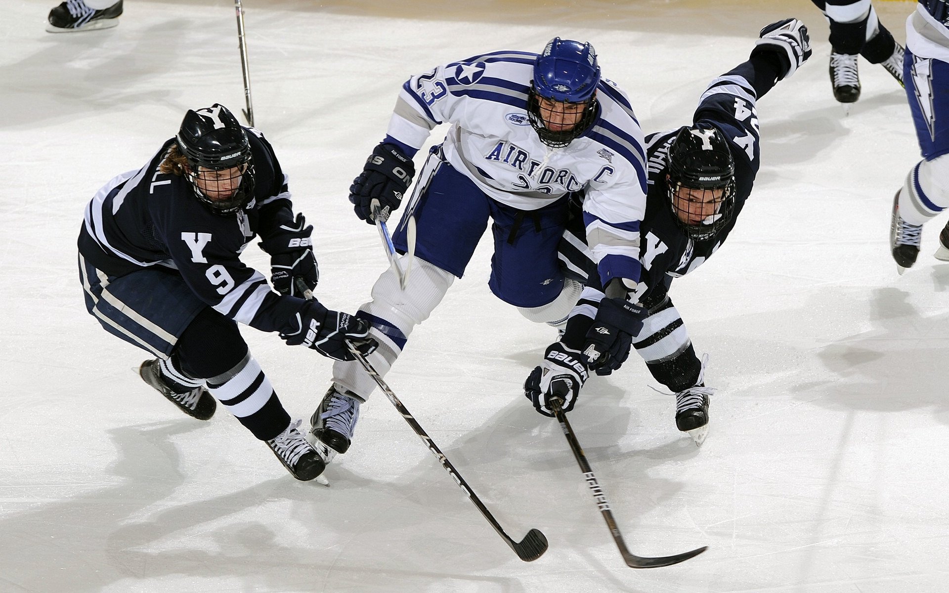 广东队强行终结灰熊，哈利伯顿打出统治级数据