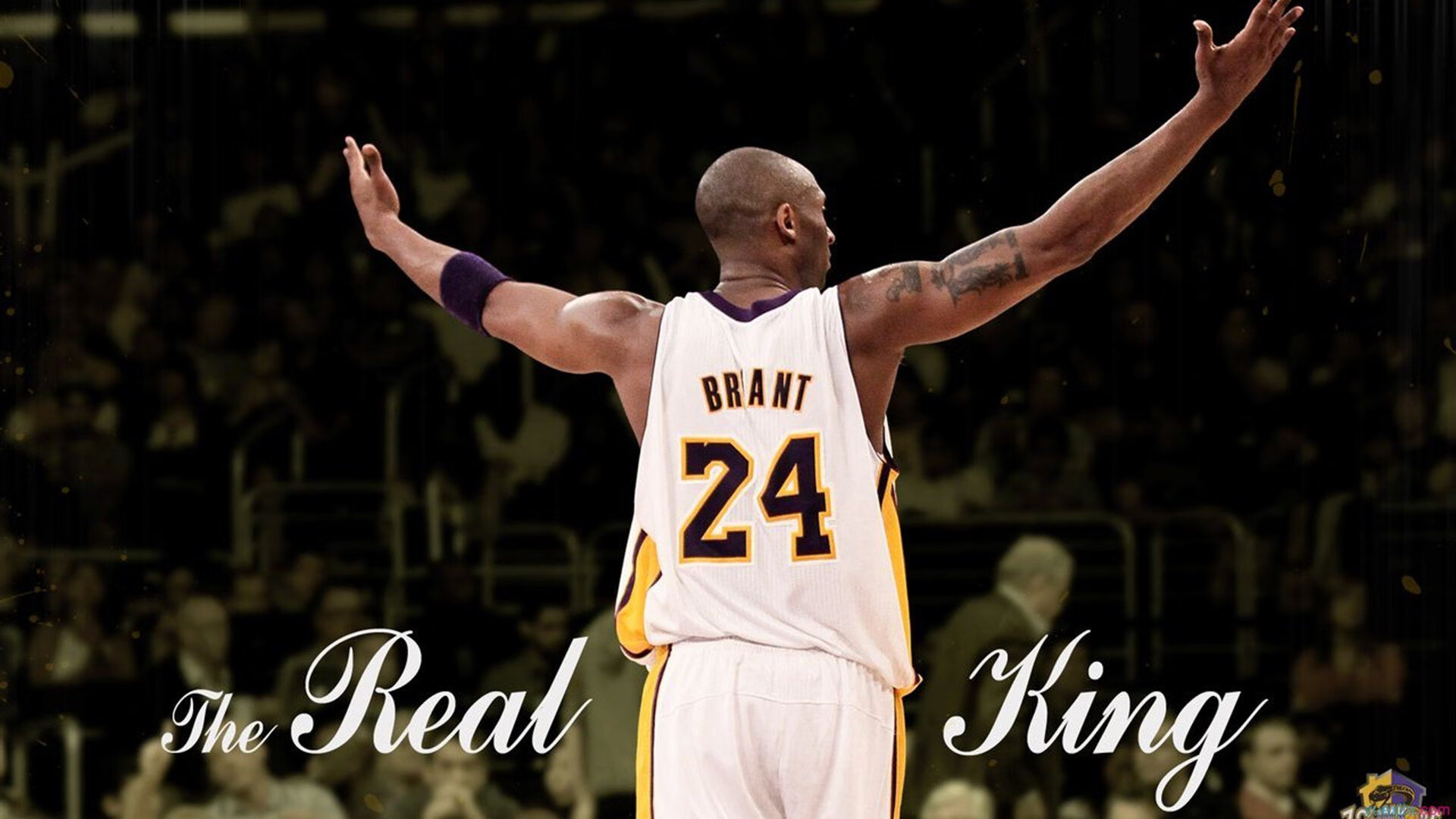 开云体育入口-约基奇成全场焦点，湖人巅峰对决胜出勇士